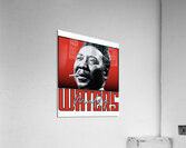 Muddy Waters 3 Acrylic Print