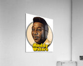 Muddy Waters 4 Acrylic Print