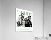 Muddy Waters 5 Acrylic Print