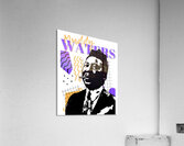 Muddy Waters 18 Acrylic Print