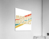 Muddy Waters 29 Acrylic Print
