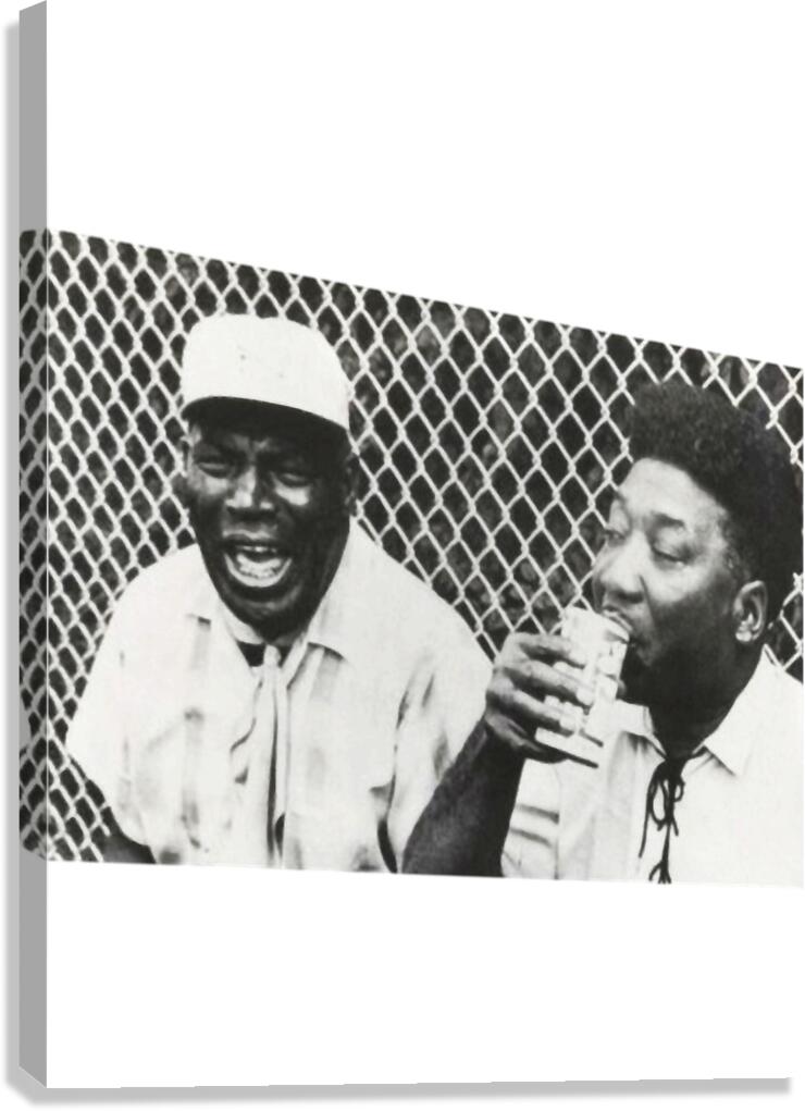 Muddy Waters 18 Canvas Print