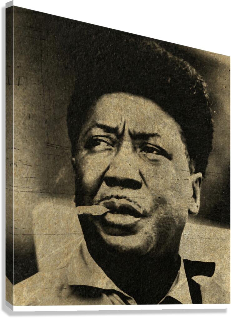 Muddy Waters 19 Canvas Print