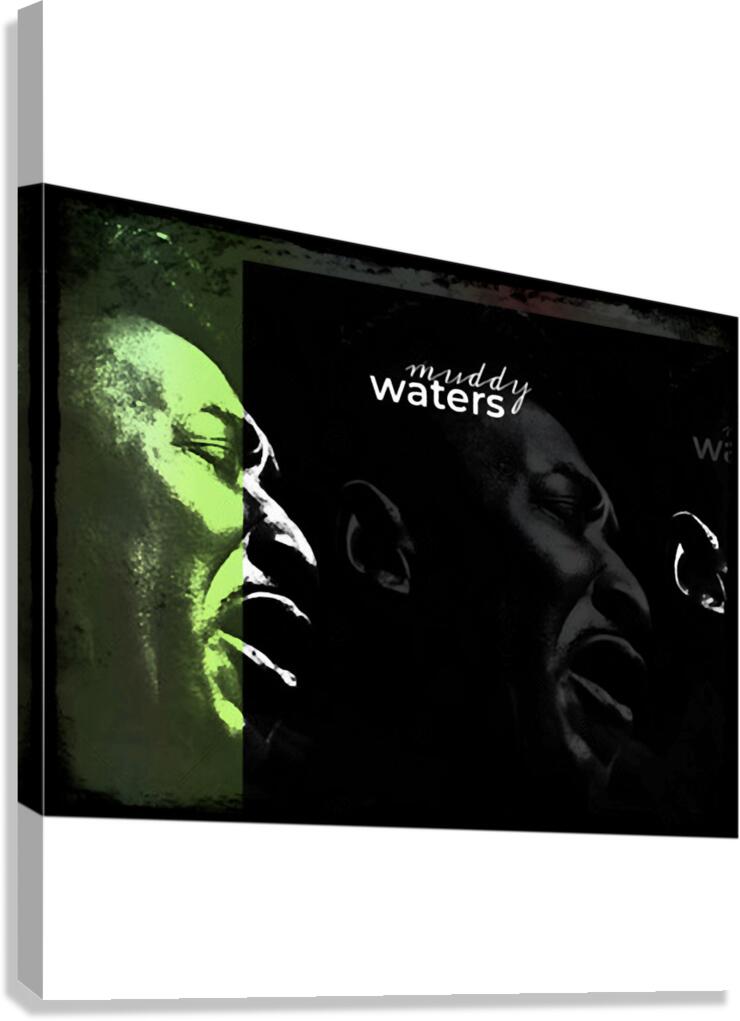 Muddy Waters 22 Canvas Print