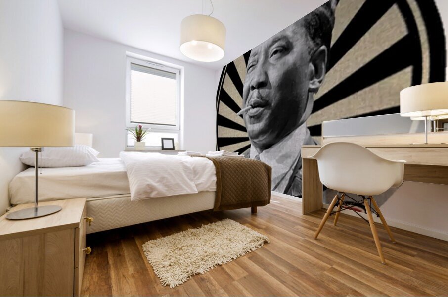 Muddy Waters 13 Mural print