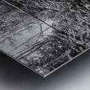 2022 June 20 RusticBridge02 Metal print