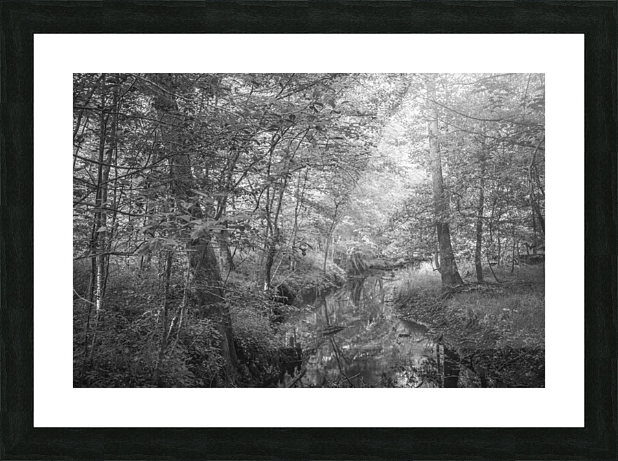 2022 May 04 IslandCrk03 Picture Frame print