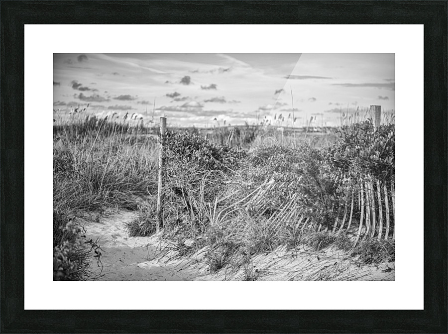 2022 Aug 30 BeachPath01 Picture Frame print