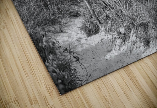 2022 Aug 30 BeachPath01 Robert Decker puzzle