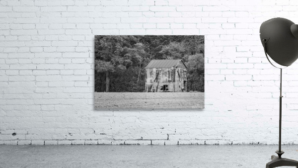 Old Barn in Eastern NC Wall Preview