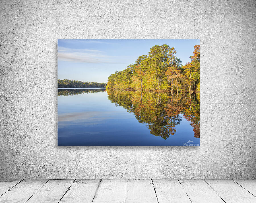 2022 Oct 20 MillPond01 Wall Preview