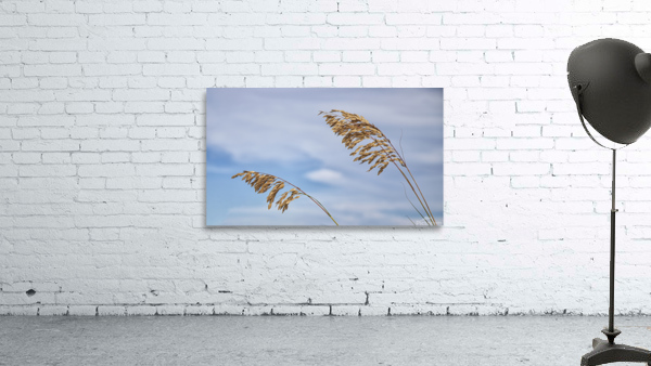 2022 Aug 30 SeaOats02 Wall Preview