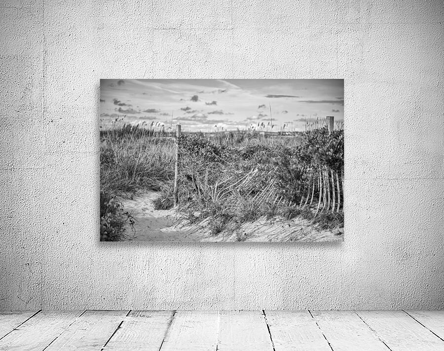 2022 Aug 30 BeachPath01 Wall Preview