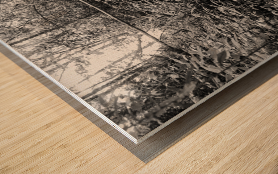 2022 June 20 RusticBridge02 Wood print