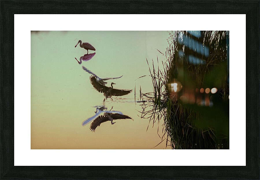 LAGUNA Picture Frame print
