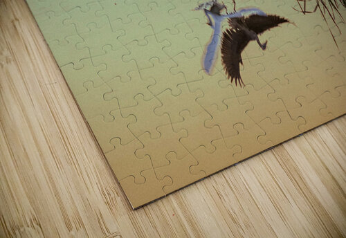 LAGUNA Miramarensis puzzle