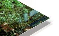 XILITLA HD Metal print