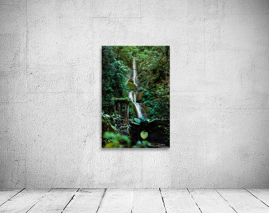 XILITLA Wall Preview