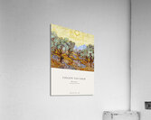 Van Gogh - Olive Trees Acrylic Print