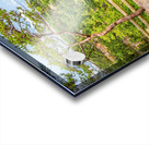  MG 3618 Pano Edit Cloudland Canyon State Par Acrylic print