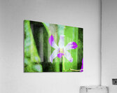 Vibrant watercolor of a purple orchid against a lush green backdrop Acrylic Print