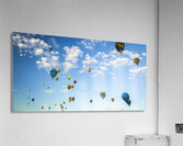 IMG 4748 Edit1 Acrylic Print