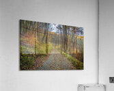  MG 4652 Edit1 Acrylic Print