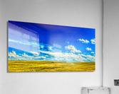 The Great Plains Acrylic Print