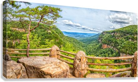  MG 3618 Pano Edit Cloudland Canyon State Par Canvas Print