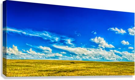 The Great Plains Canvas Print