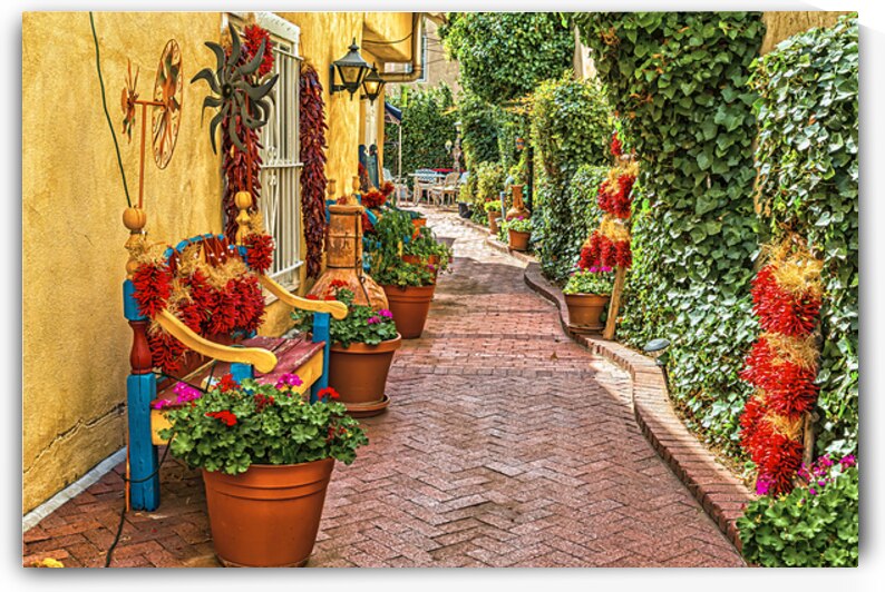 Albuquerque Patio with Ristra Decorations by Gestalt Imagery