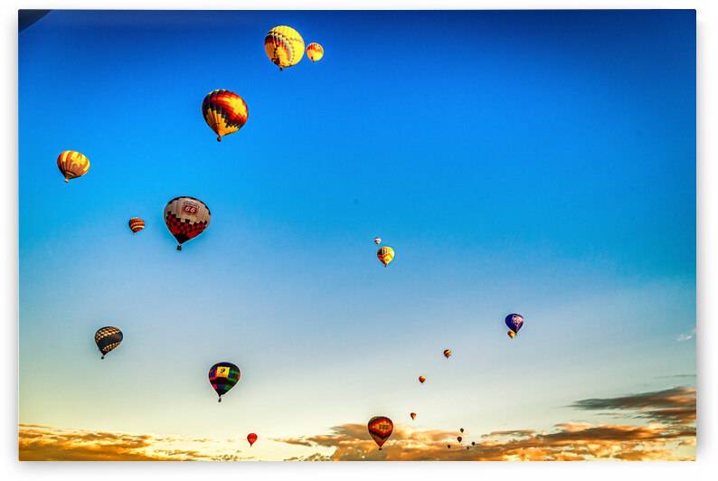 Albuquerque Hot Air Balloon Fie by Gestalt Imagery
