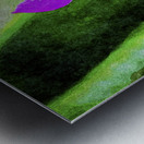 Vibrant watercolor of a purple orchid against a lush green backdrop Metal print