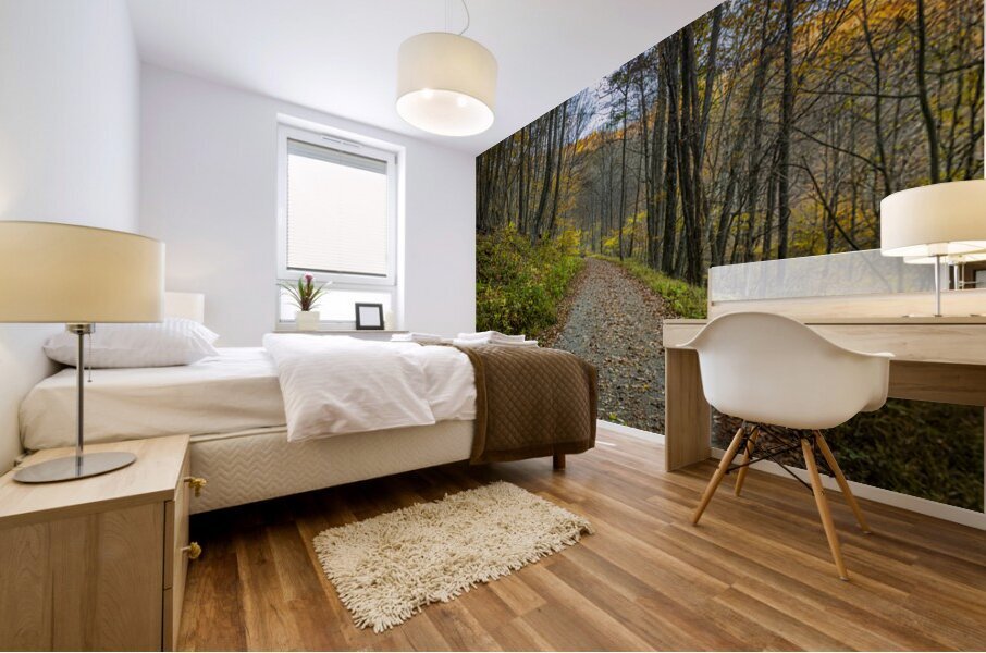 MG 4652 Edit1 Mural print