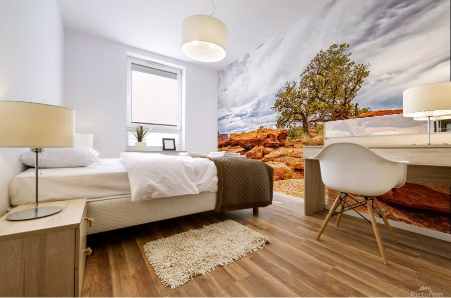  MG 2678 Edit Juniper Tree Capitol Reef Natio Mural print