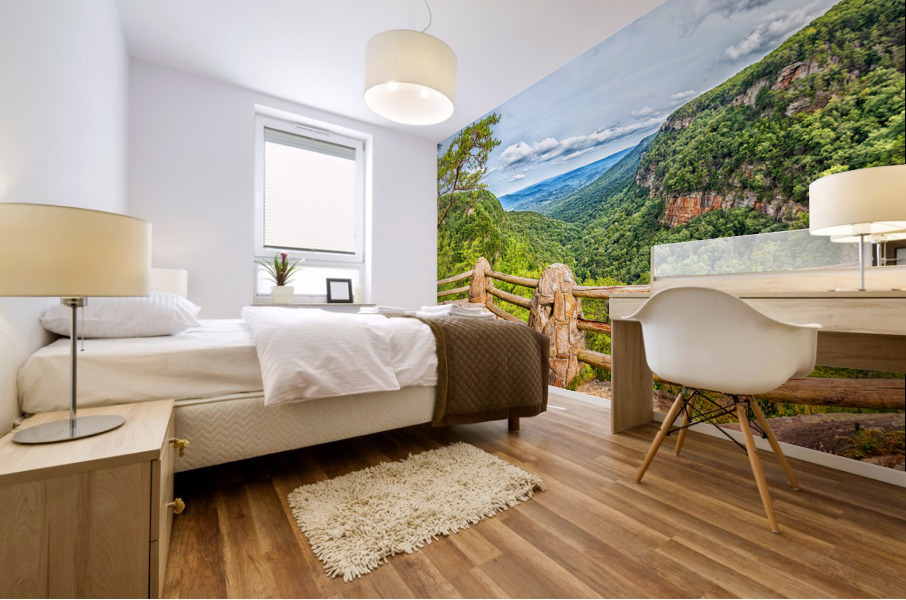  MG 3618 Pano Edit Cloudland Canyon State Par Mural print