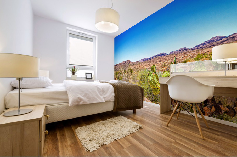 Apache Trail Scenic Drive View Mural print