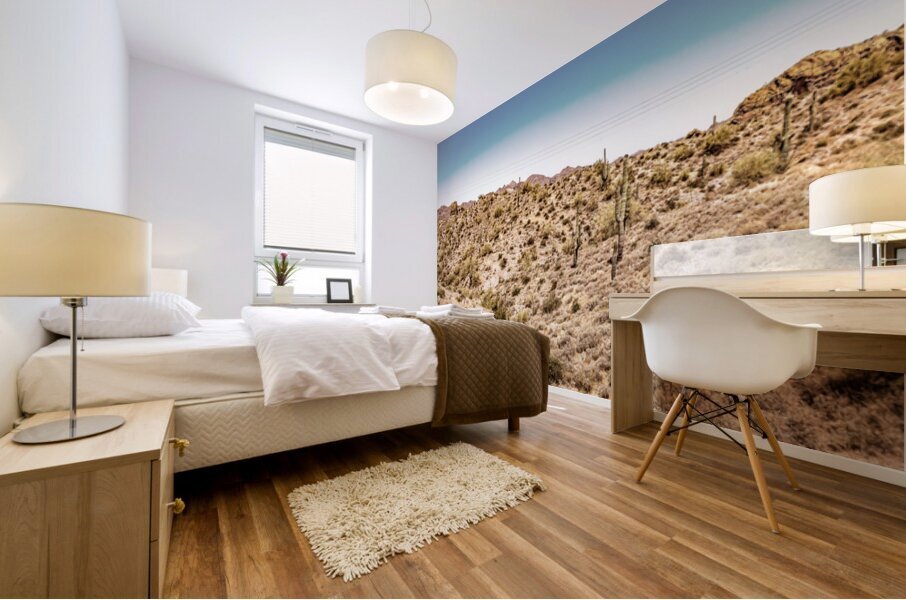 Apache Trail Scenic Drive View Mural print