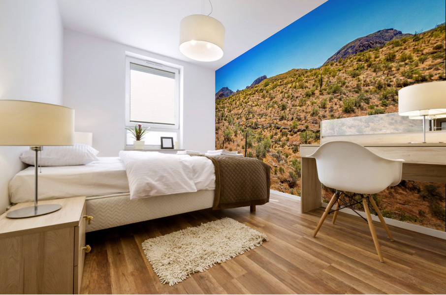 Apache Trail Scenic Drive View Mural print