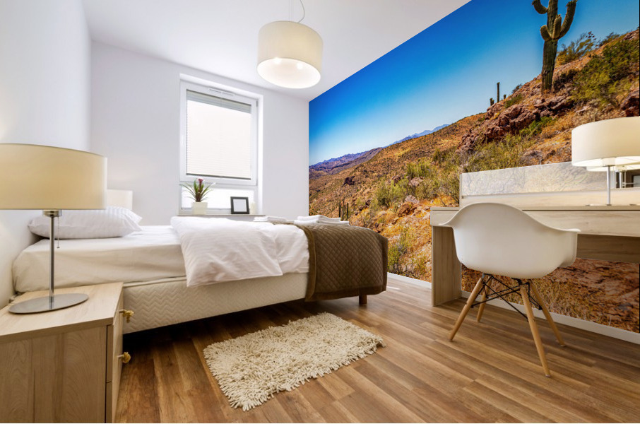Apache Trail Scenic Drive View Mural print