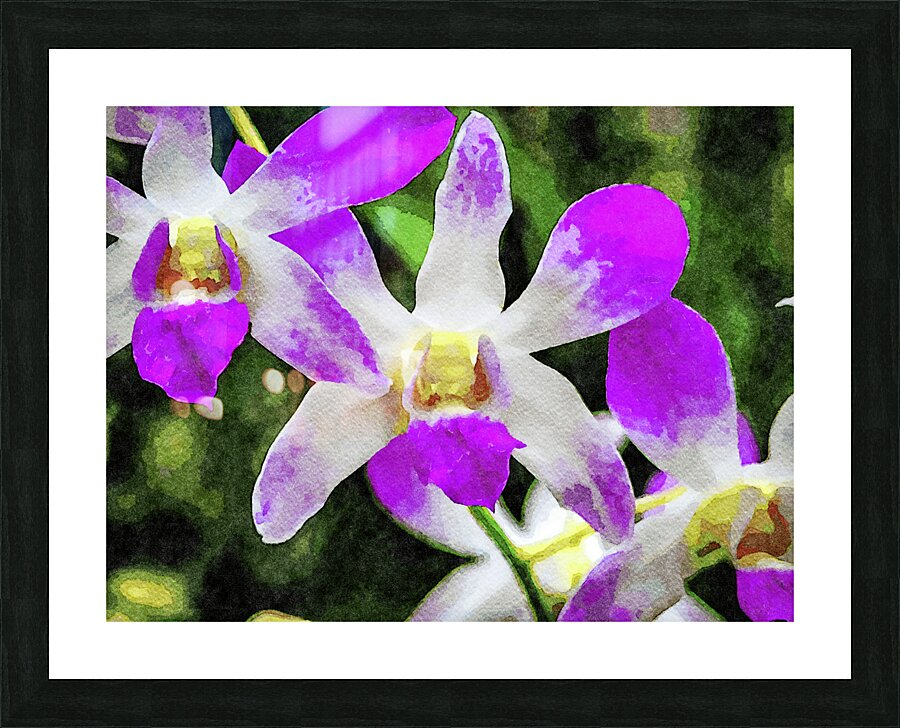 Vibrant watercolor painting of violet orchid blossoms Picture Frame print
