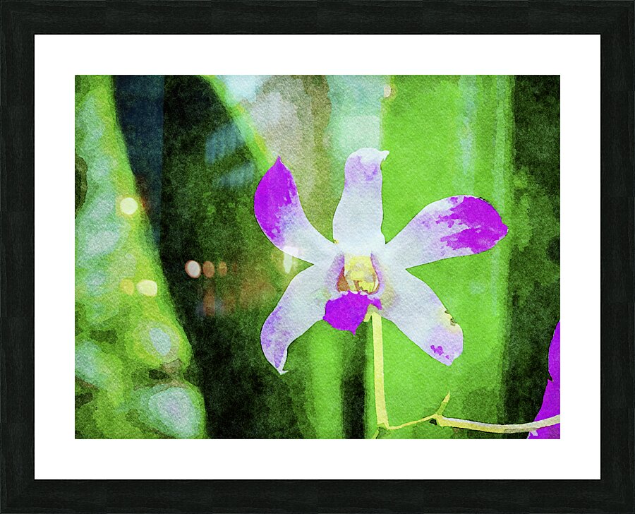 Vibrant watercolor of a purple orchid against a lush green backdrop Picture Frame print