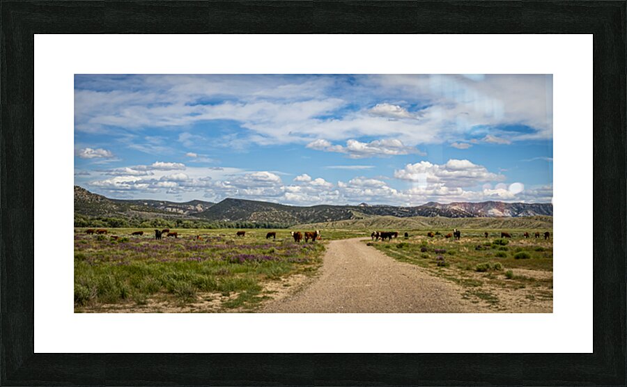 Wyoming Cattle Herd Picture Frame print