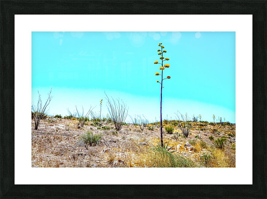 Apache Trail Scenic Drive View Picture Frame print