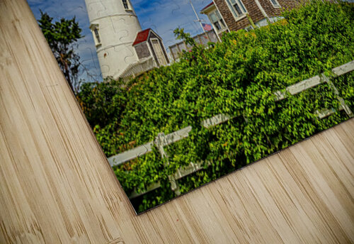 Nobska Point Light Gestalt Imagery puzzle
