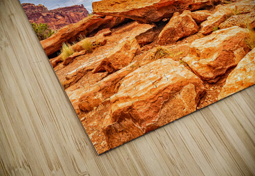 MG 2678 Edit Juniper Tree Capitol Reef Natio Gestalt Imagery puzzle