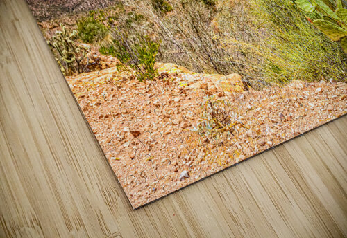 Apache Trail Scenic Drive View Gestalt Imagery puzzle