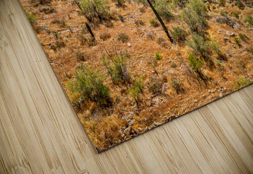 Apache Trail Scenic Drive View Gestalt Imagery puzzle