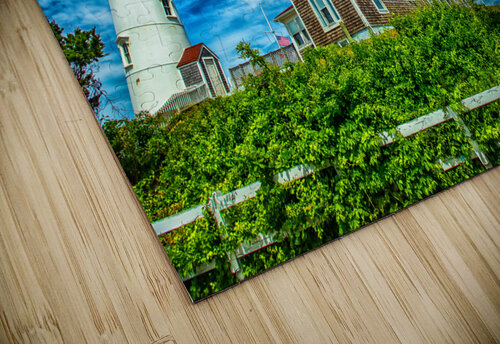 IMG 7035 Edit Nobska Point Light Gestalt Imagery puzzle