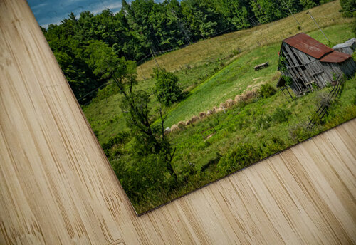 IMG 9388 Edit The Barn Gestalt Imagery puzzle